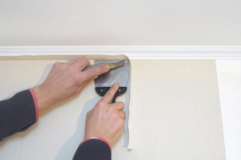 Wallpaper Repair in Denver County, CO